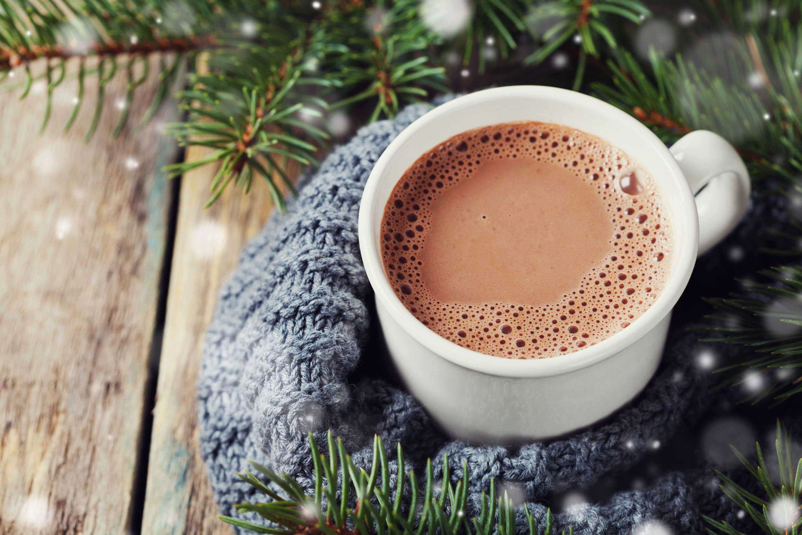 AdobeStock_94924997-scaled.jpeg